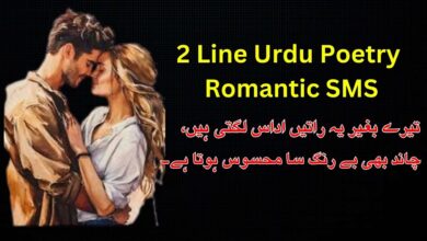 2 Line Urdu Poetry Romantic SMS