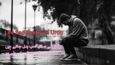 Life Sad Poetry In Urdu