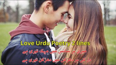 Love Urdu Poetry 2 lines
