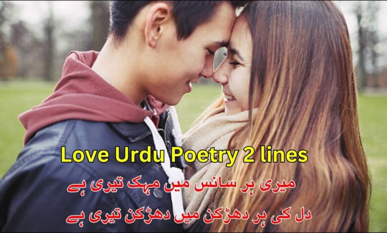 Love Urdu Poetry 2 lines
