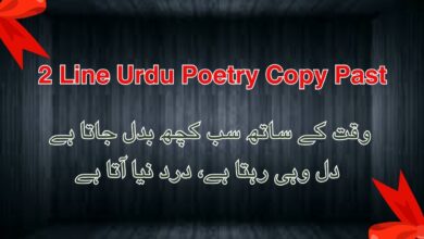 2 Line Urdu Poetry Copy Past