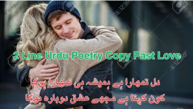 2 Line Urdu Poetry Copy Past Love