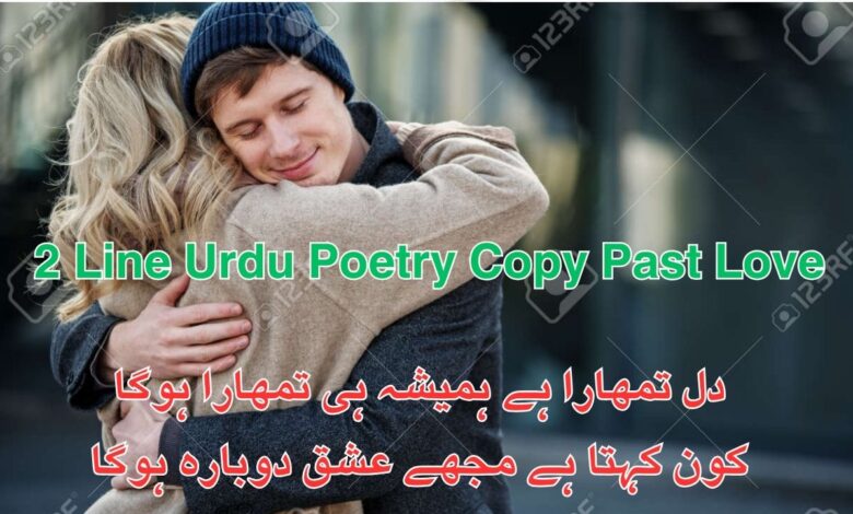 2 Line Urdu Poetry Copy Past Love