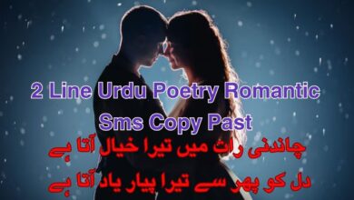 2 Line Urdu Poetry Romantic Sms Copy Past