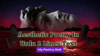 Aesthetic Poetry In Urdu