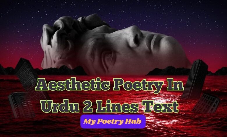 Aesthetic Poetry In Urdu