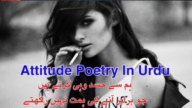 Attitude Poetry In Urdu