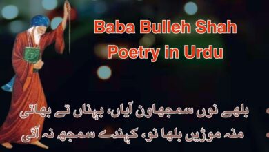 Baba Bulleh Shah Poetry in Urdu