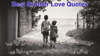 Best Brother Love Quotes