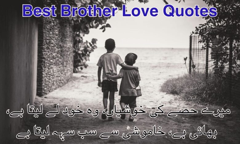 Best Brother Love Quotes