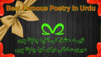 Best Famous Poetry In Urdu