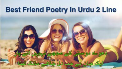 Best Friend Poetry In Urdu 2 Line
