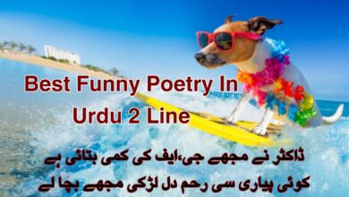 Best Funny Poetry In Urdu 2 Line