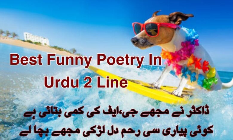 Best Funny Poetry In Urdu 2 Line