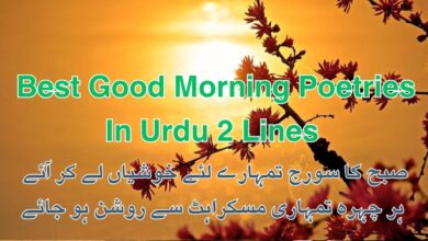 Best Good Morning Poetries In Urdu 2 Lines