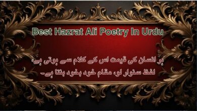 Best Hazrat Ali Poetry In Urdu