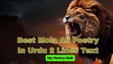 Best Mola Ali Poetry In Urdu 2Lines Text