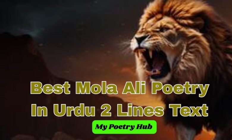 Best Mola Ali Poetry In Urdu 2Lines Text