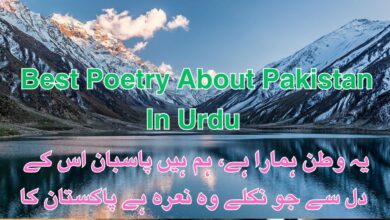 Best Poetry About Pakistan In Urdu