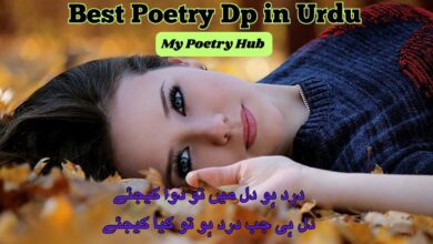 Best poetry dp in urdu