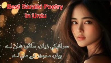 Best Saraiki Poetry In Urdu