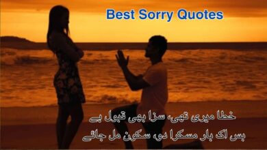 Best Sorry Quotes