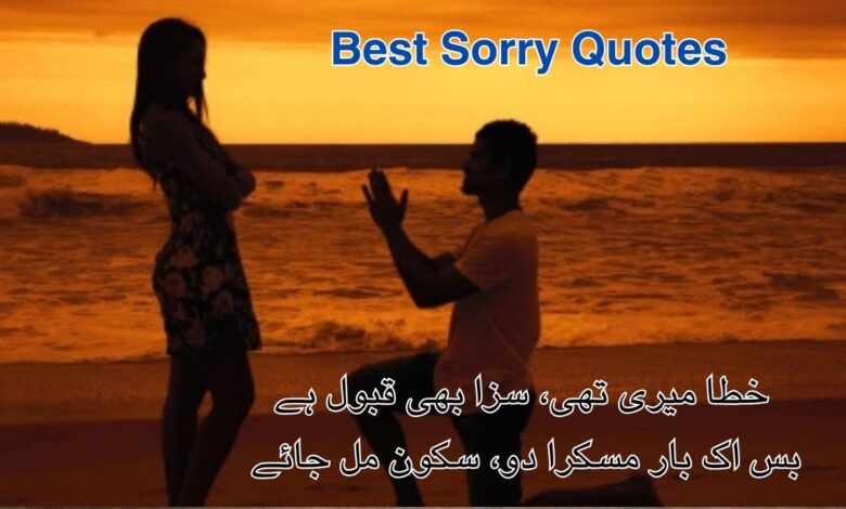 Best Sorry Quotes