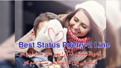 Best Status Poetry 2 Line