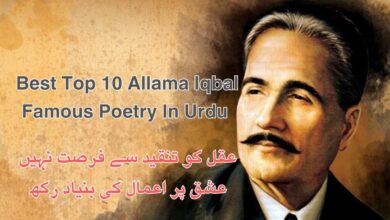 Best Top 10 Allama Iqbal Famous Poetry In Urdu
