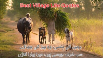 Best Village Life Quotes 