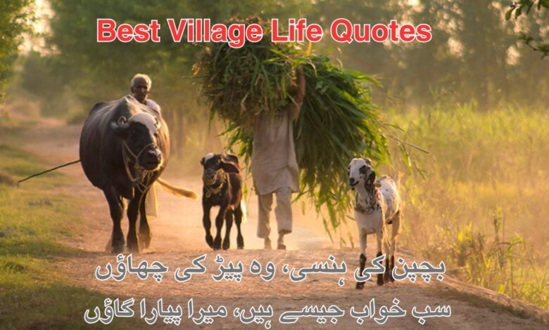 Best Village Life Quotes