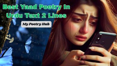 Best Yaad Poetry In Urdu Text 2 Lines