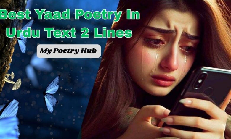 Best Yaad Poetry In Urdu Text 2 Lines