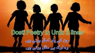 Dosti Poetry In Urdu 2 lines
