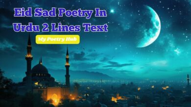 Eid Sad Poetry In Urdu 2 Lines Text
