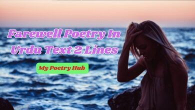 Farewell Poetry In Urdu Text 2Lines