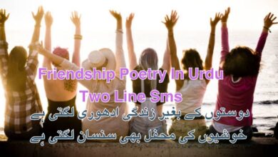 Friendship Poetry In Urdu Two Line Sms
