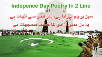 Indepence Day Poetry In 2 Line
