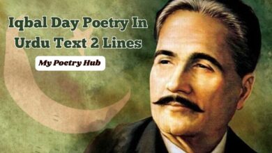 Iqbal Day Poetry In Urdu Text 2 Lines