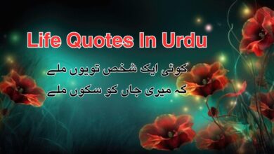 Life Quotes In Urdu