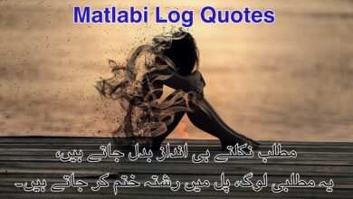 Matlabi Log Quotes