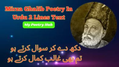 Mirza Ghalib Poetry In Urdu
