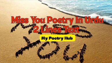 Miss You Poetry In Urdu