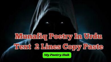Munafiq Poetry In Urdu