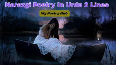 Narazgi Poetry In Urdu 2 Lines