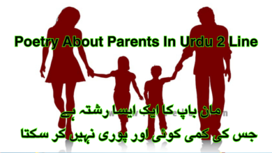 Poetry About Parents In Urdu 2 Line