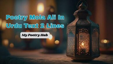 Poetry Mola Ali In Urdu Text 2 Lines