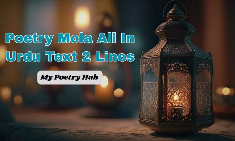 Poetry Mola Ali In Urdu Text 2 Lines