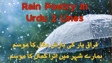 Rain Poetry In Urdu 2 Lines