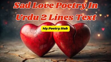 Sad Love Poetry In Urdu 2 Lines Text